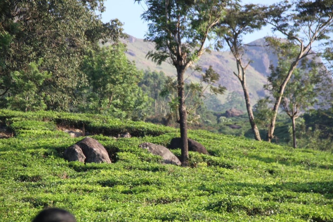 Resort Chandys Windy Woods Munnar