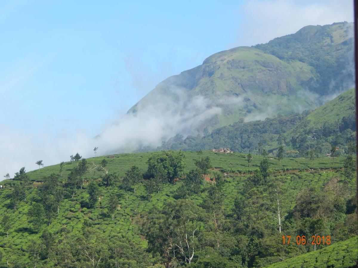 Chandys Windy Woods Munnar