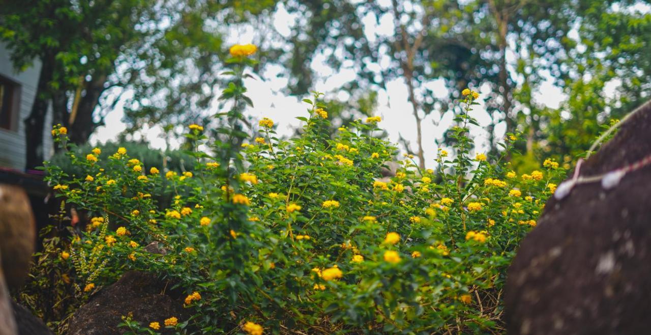 Windermere Estate Resort Munnar