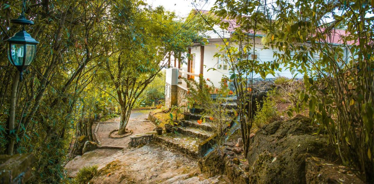 Windermere Estate Munnar