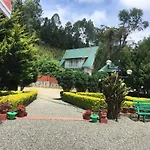 Golden Green