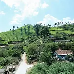 Oyo 24816 Munnar Days