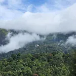 Cherry Blossom Homestays Munnar 2Bhk