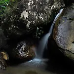 Kurinjiyil Farmstay
