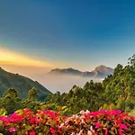 Chandys Drizzle Drops - Munnar Top Station