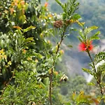 Aranyaka Resorts