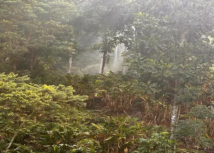 Falling Waters Munnar