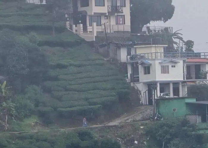 The Unplugged Escape Villa ,Munnar