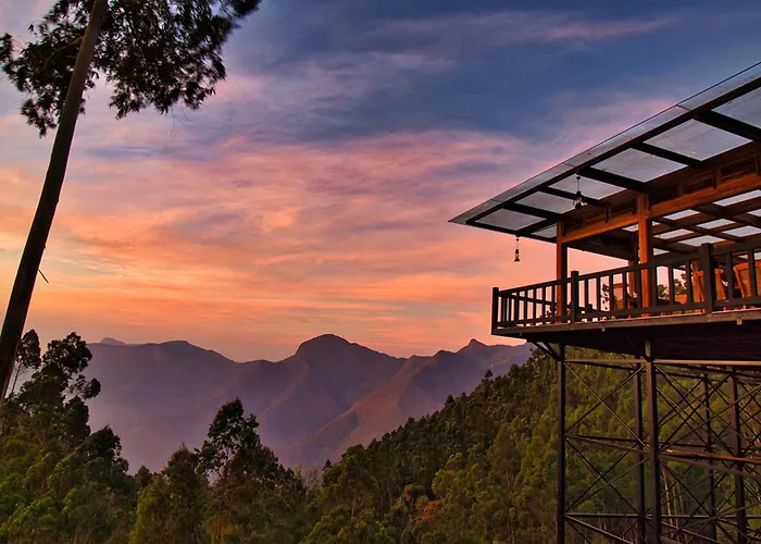 Chandys Drizzle Drops - Munnar Top Station