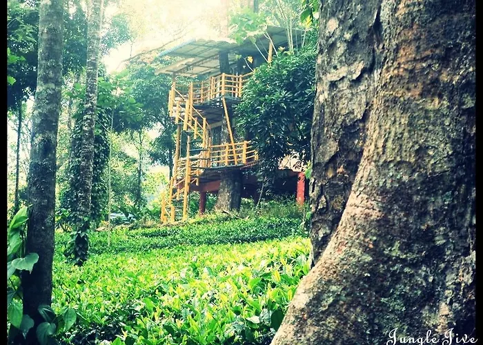 Jungle Jive Tree House Munnar