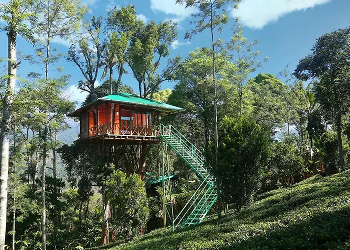 Dream Catcher Plantation Resort