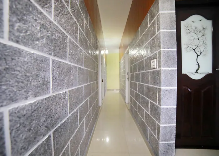 Oyo 8653 Achus Inn