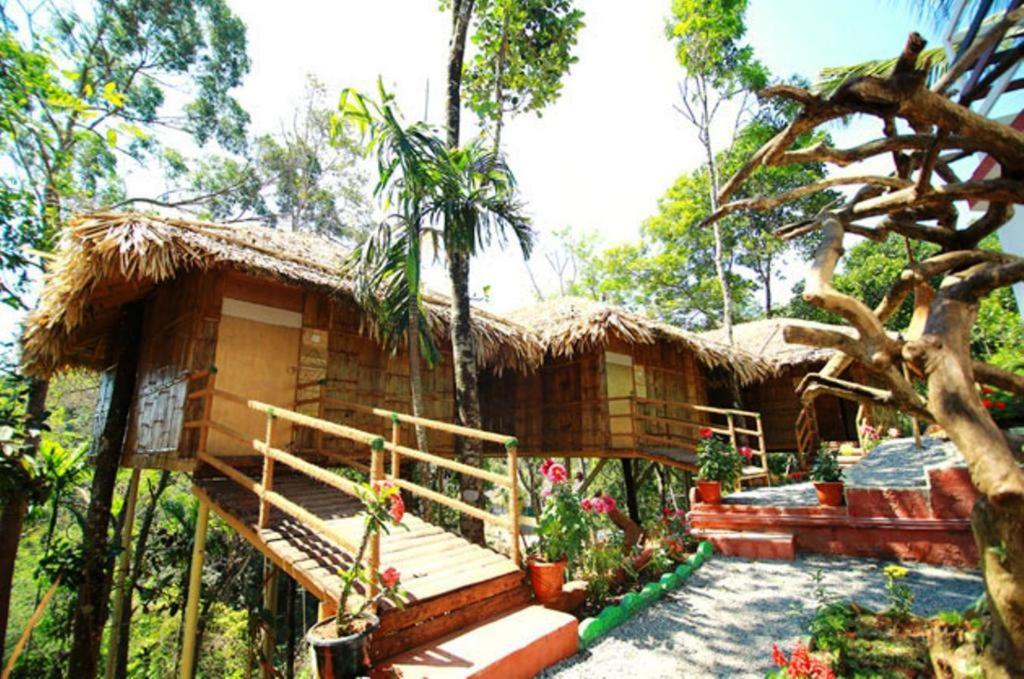 Resort Trees