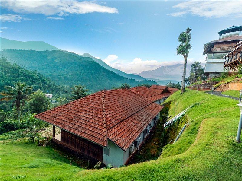 Dream Coconut Munnar