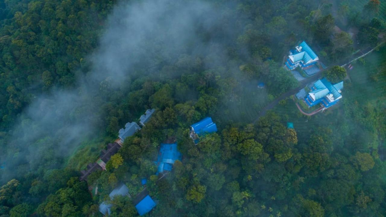 Eterno Camellia And Elettaria Munnar