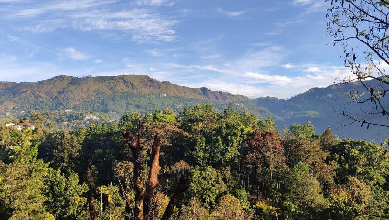 Tea View *