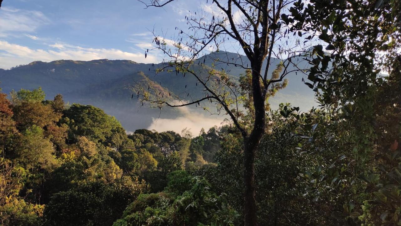 Tea View Homestay Munnar