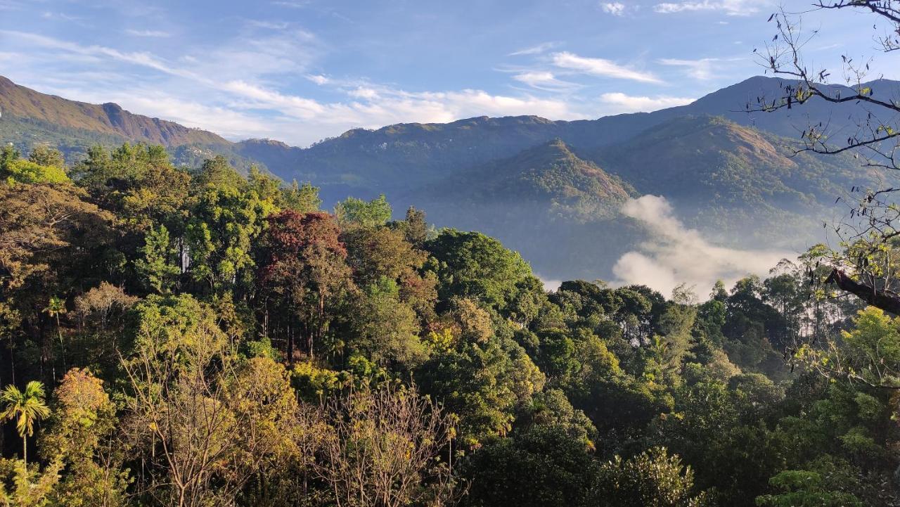 Homestay Tea View