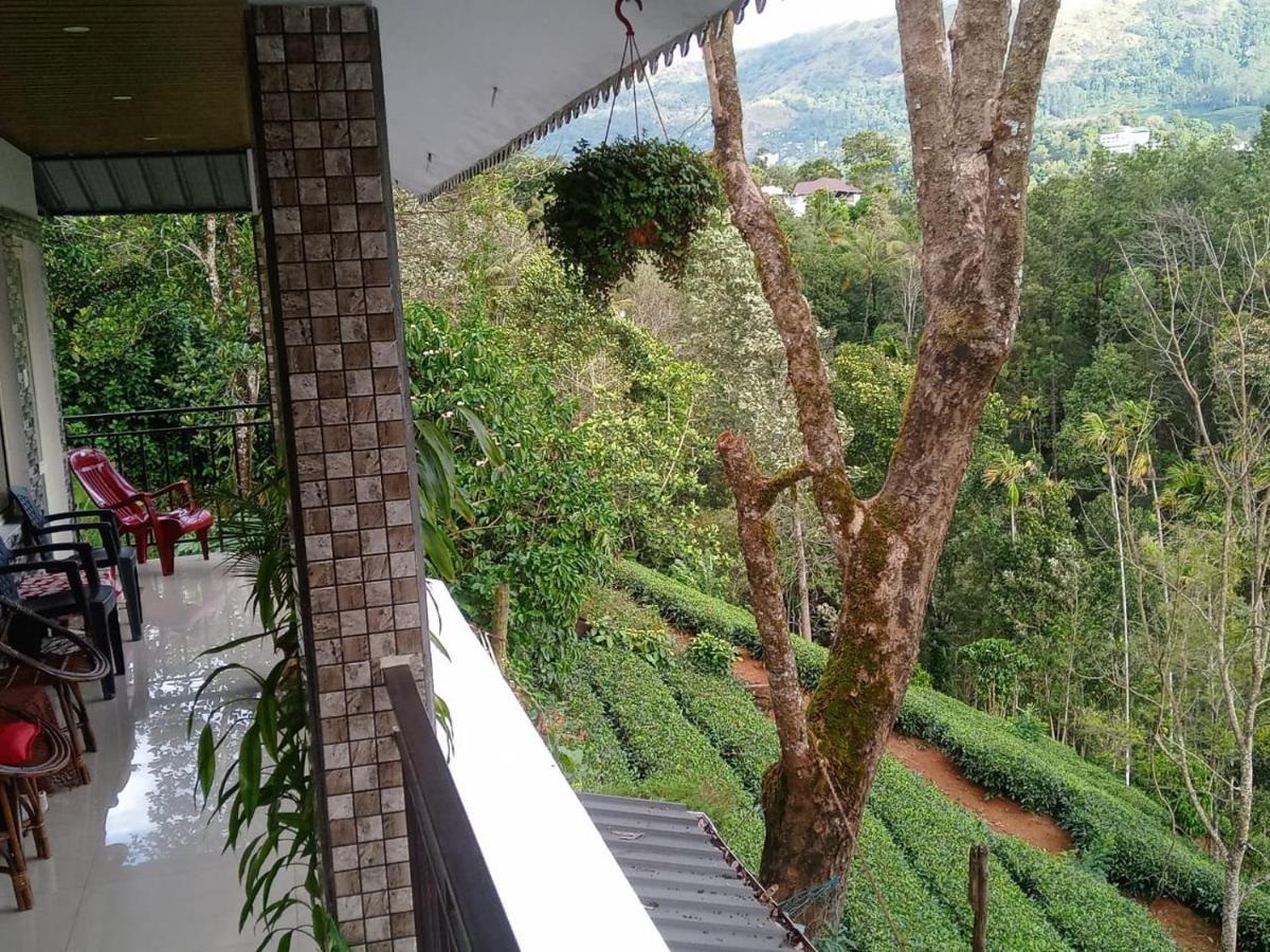 Tea View Munnar