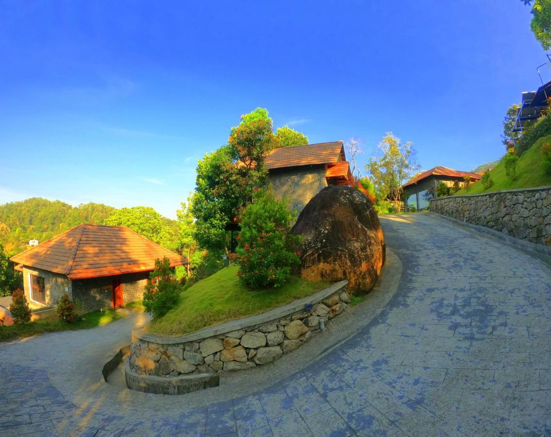 The Wild Trails Resort