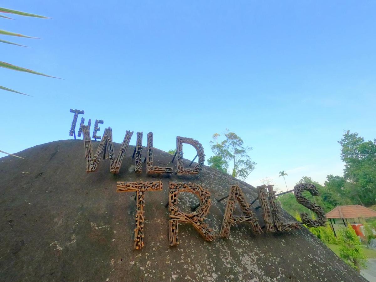 Resort The Wild Trails