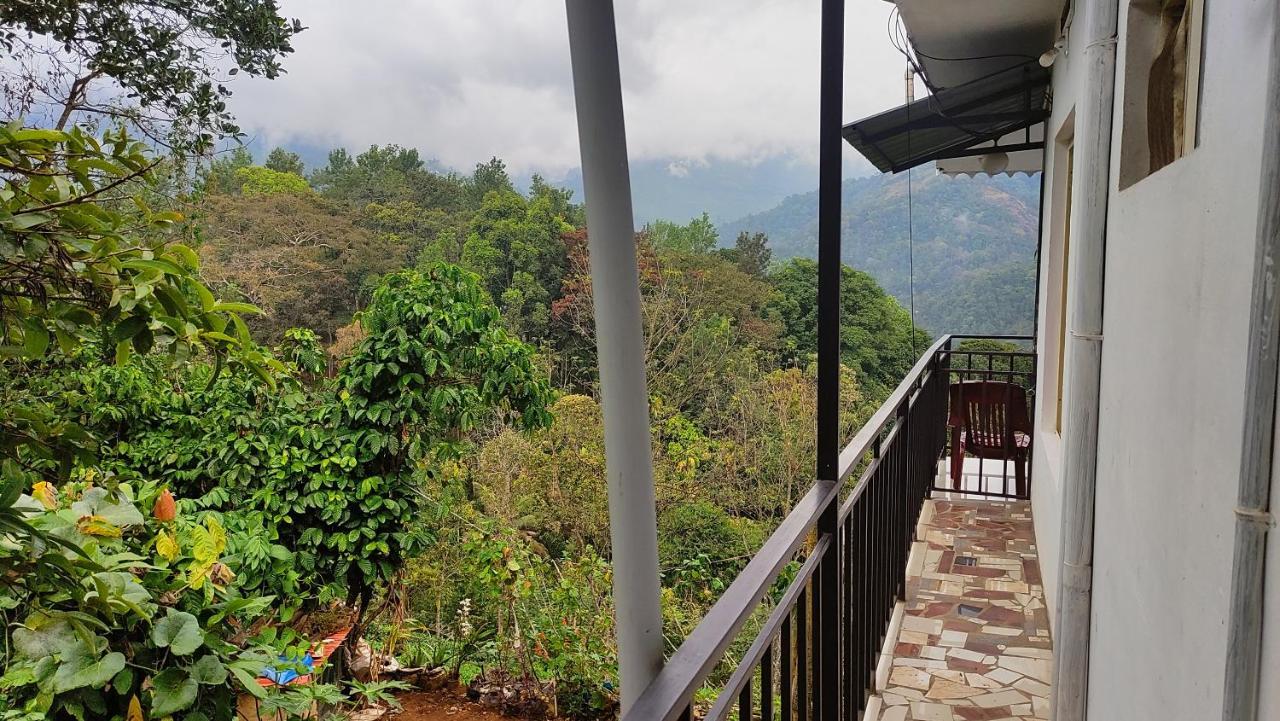 Tea View *