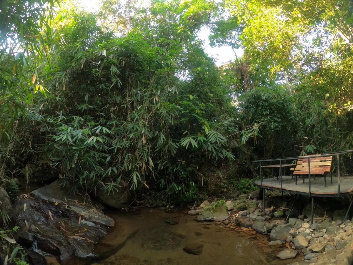 The Wild Trails Resort