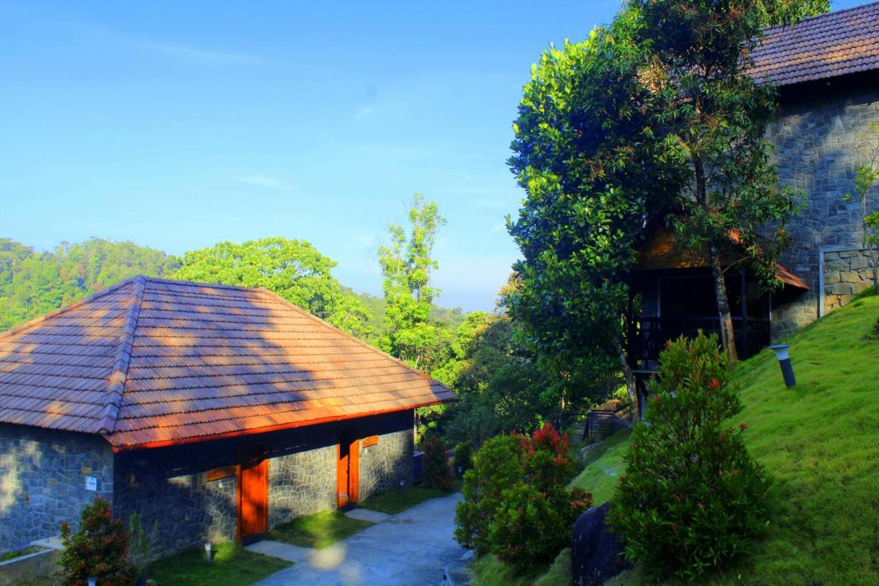The Wild Trails Resort
