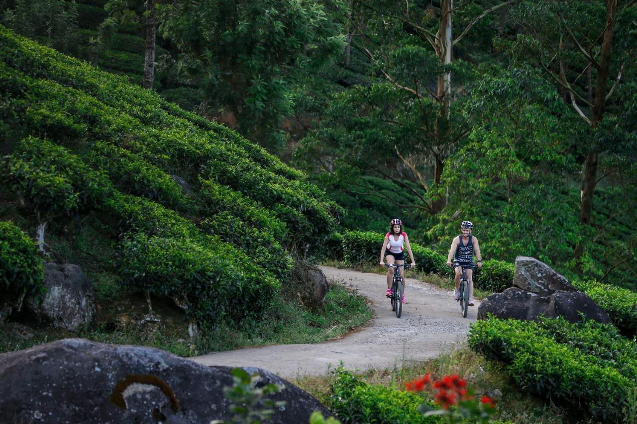 Hotel Fragrant Nature