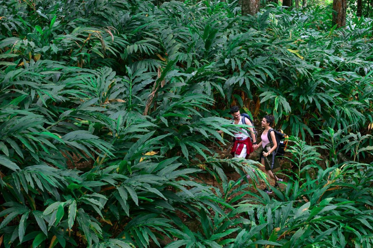 Fragrant Nature Hotel