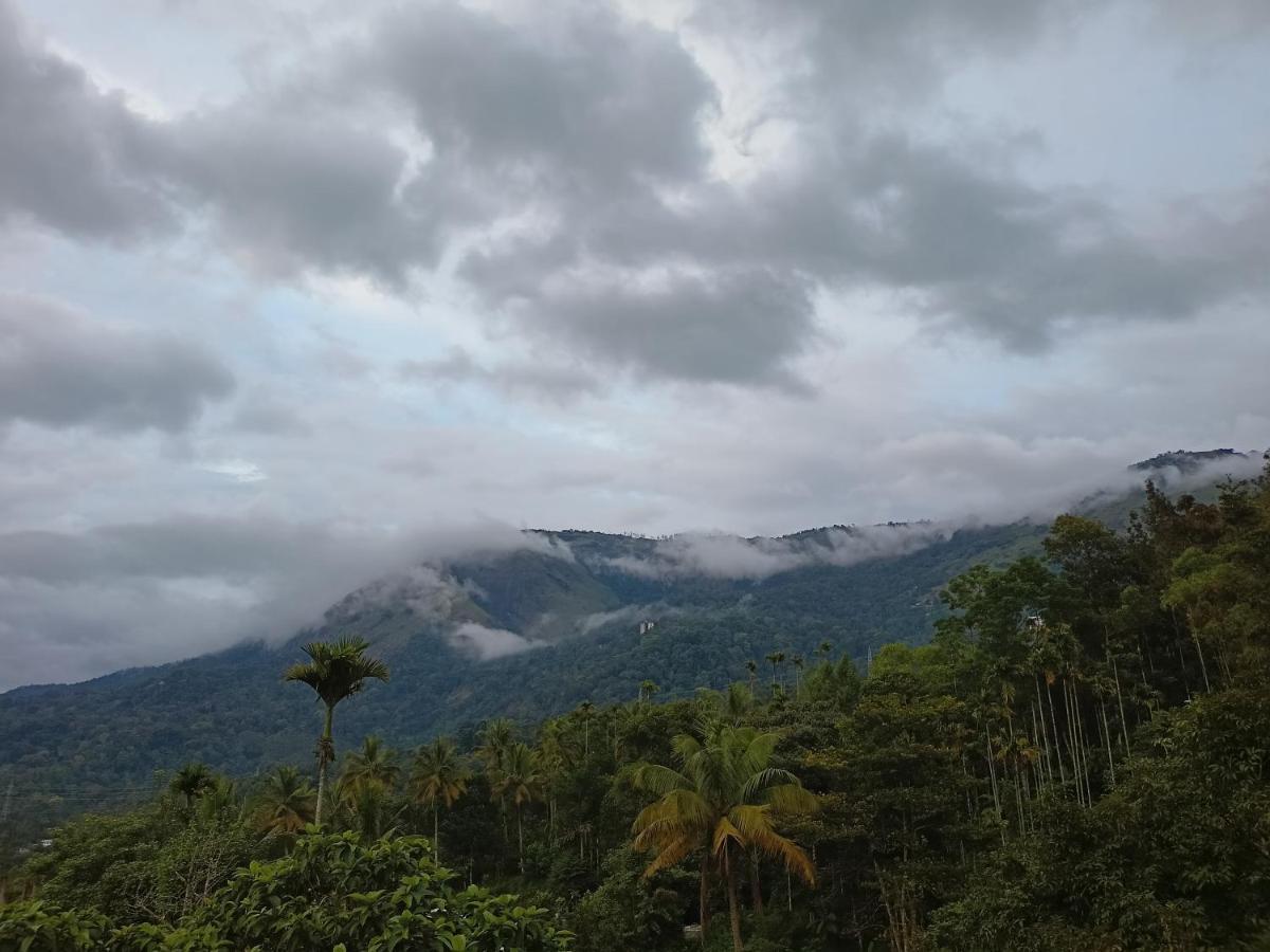 Nandana's Residency