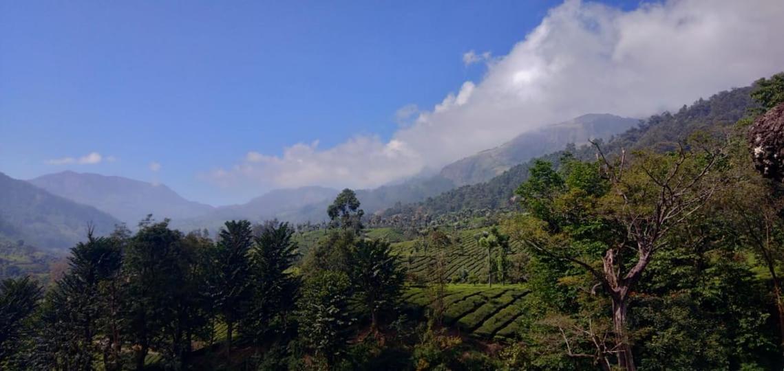 Munnar Home Stay Homestay
