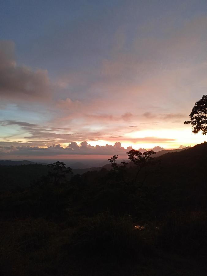 Holiday home 4 Acre Woods Farm Munnar