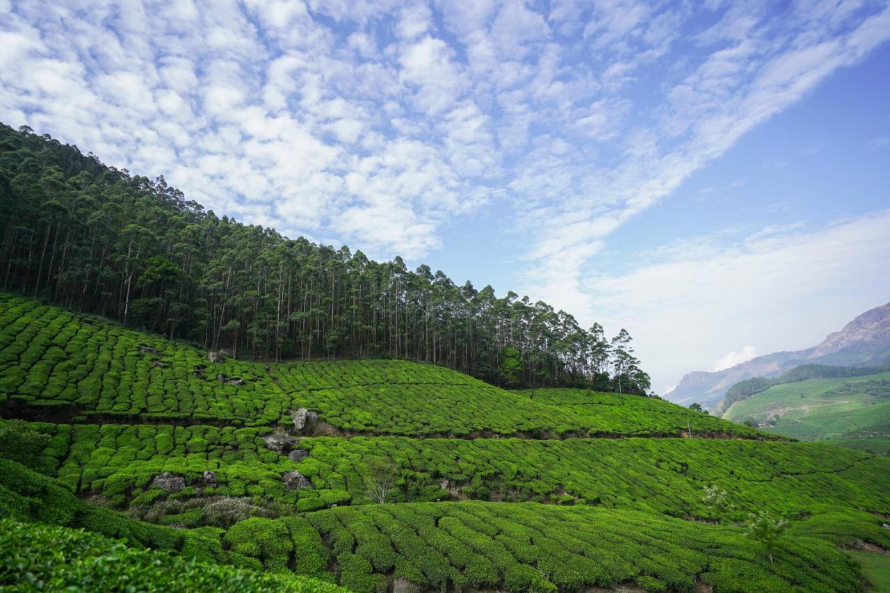 Tea Valley Resort, Resort