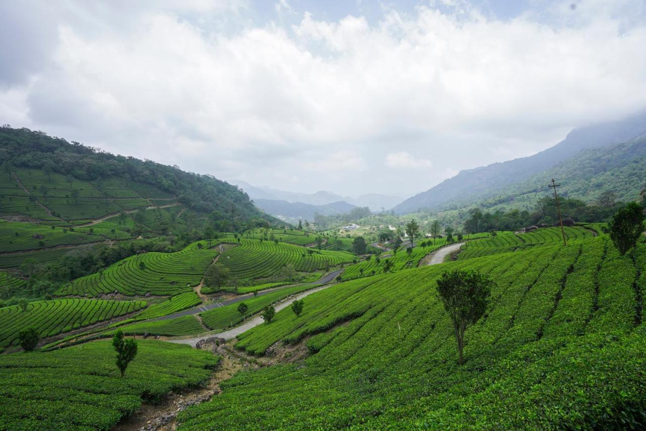 Resort Tea Valley Resort, Munnar