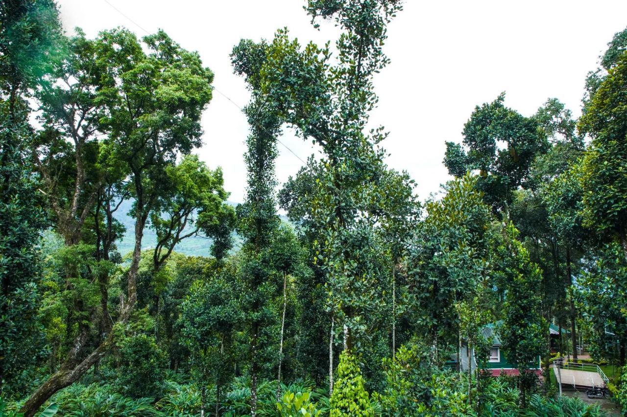 Hotel Tree Blanche Munnar