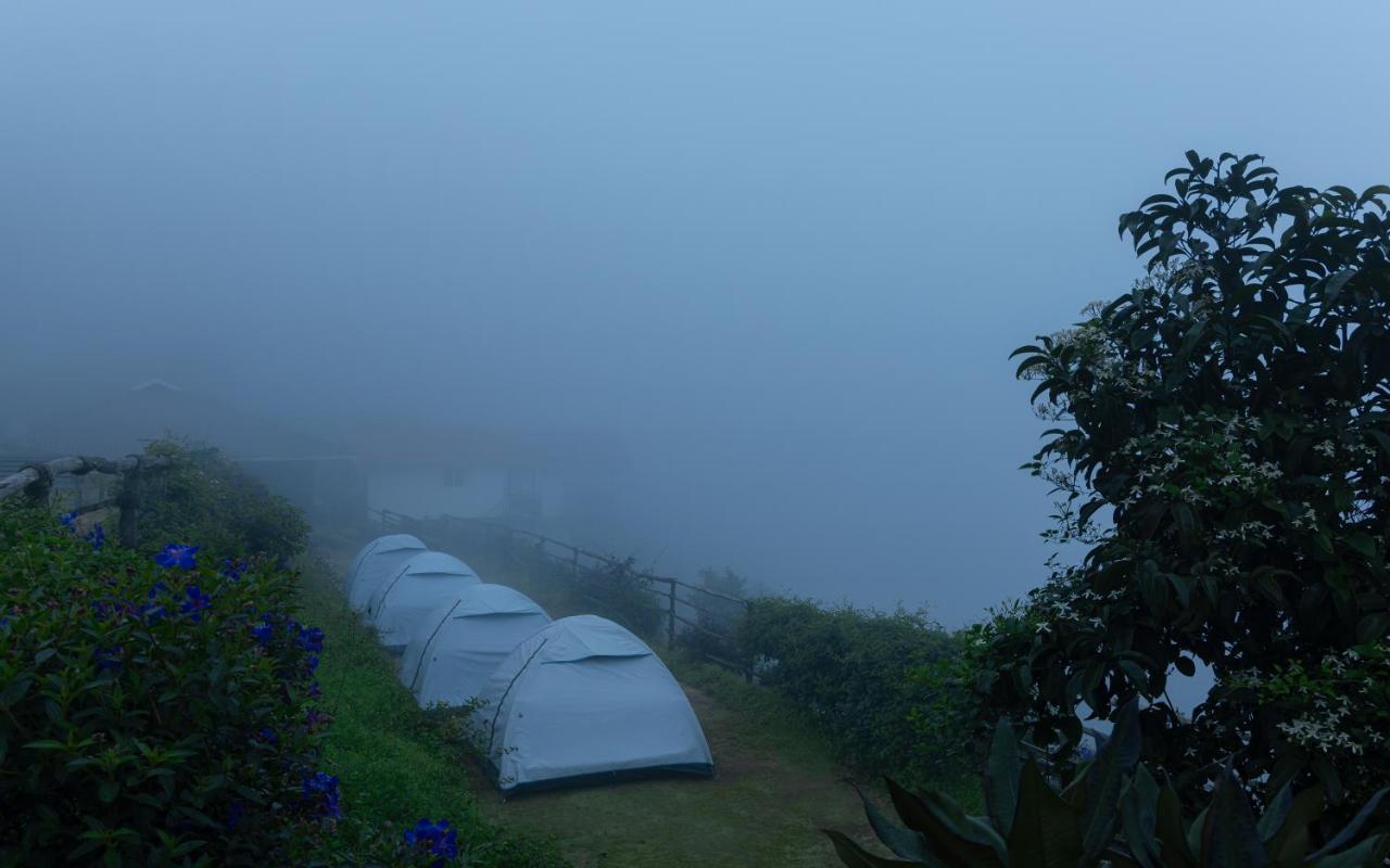 Forest County Munnar