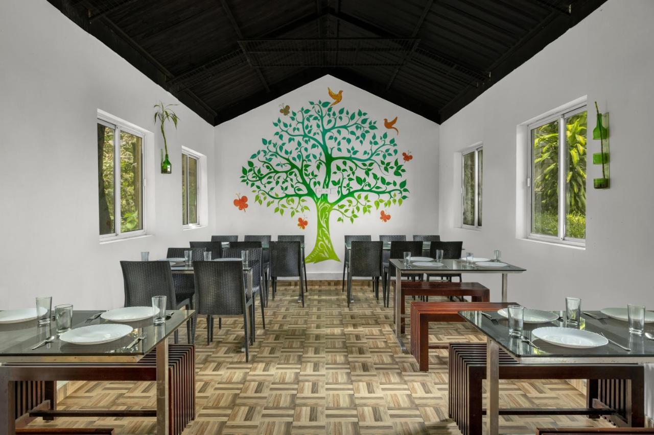 Forest County Resort Munnar