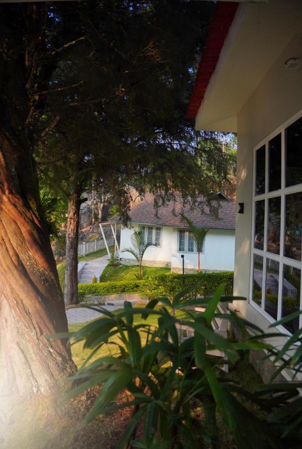The Regalia 3* Munnar