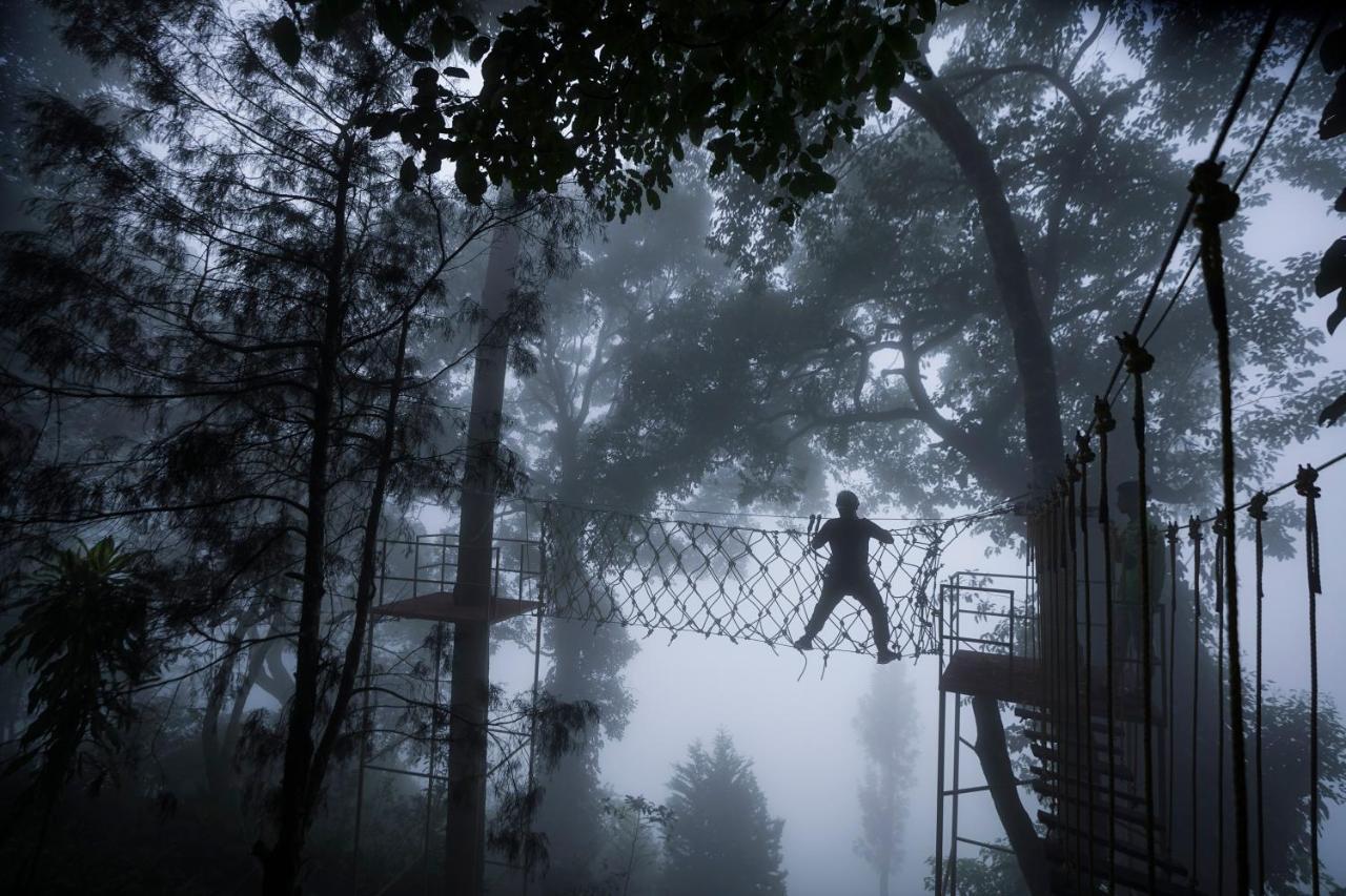 Tea Valley Resort, Munnar