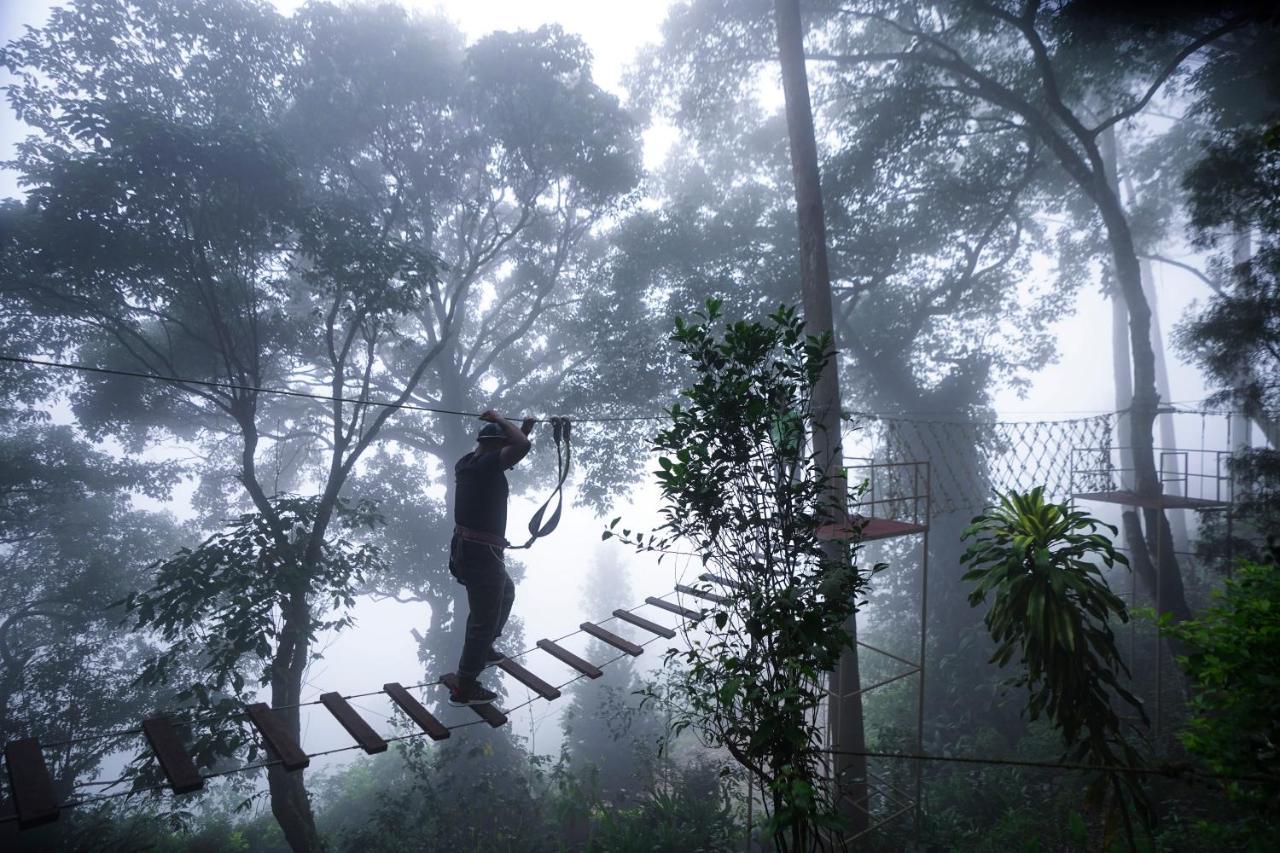 Tea Valley Resort, 4*