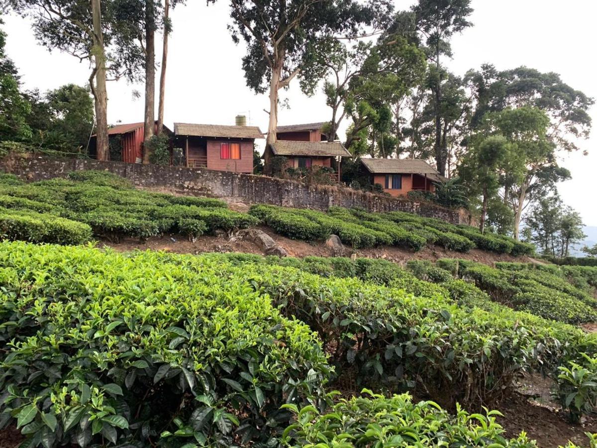 Holacasa Cottages Munnar