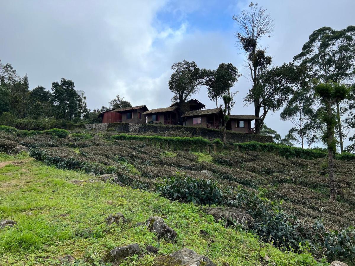 Holacasa Cottages Holiday park Munnar