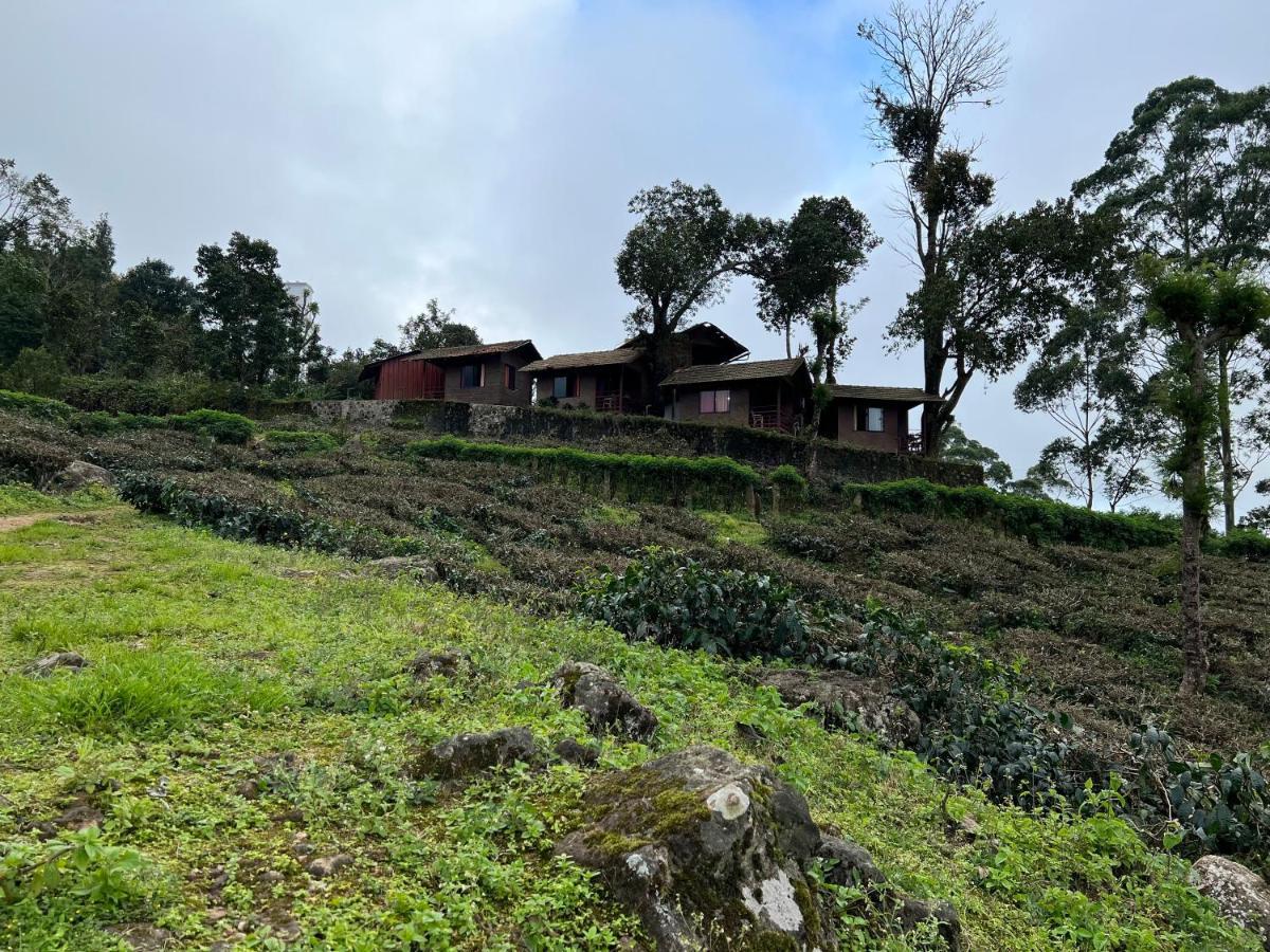 Holiday park Holacasa Cottages Munnar