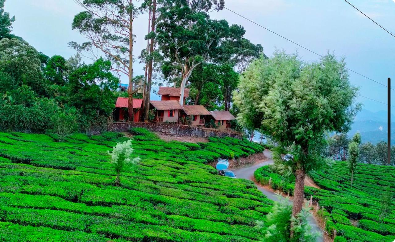 Holacasa Cottages * Munnar