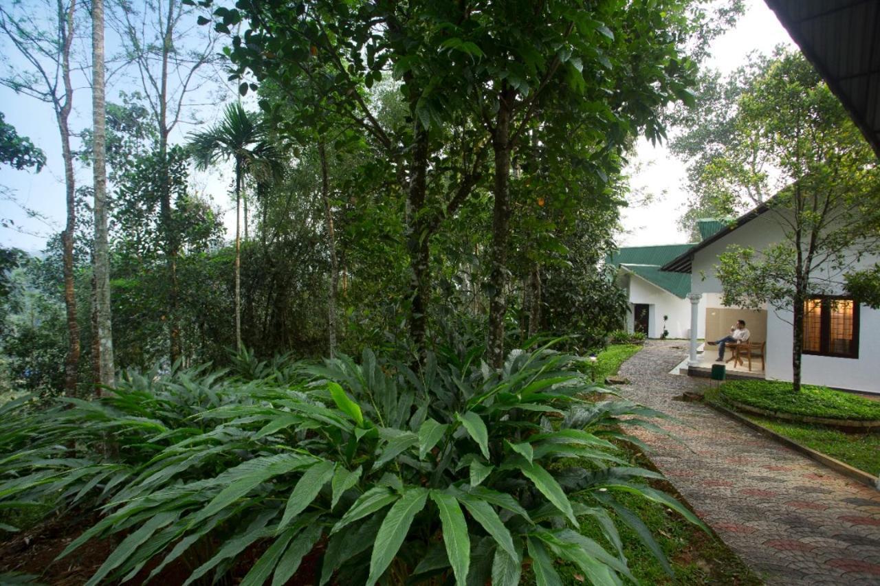 Misty Resorts,