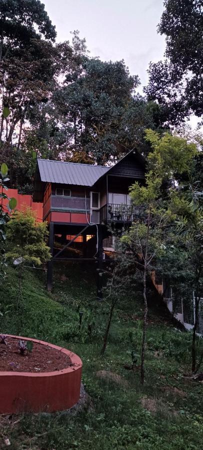Santhi Hill View