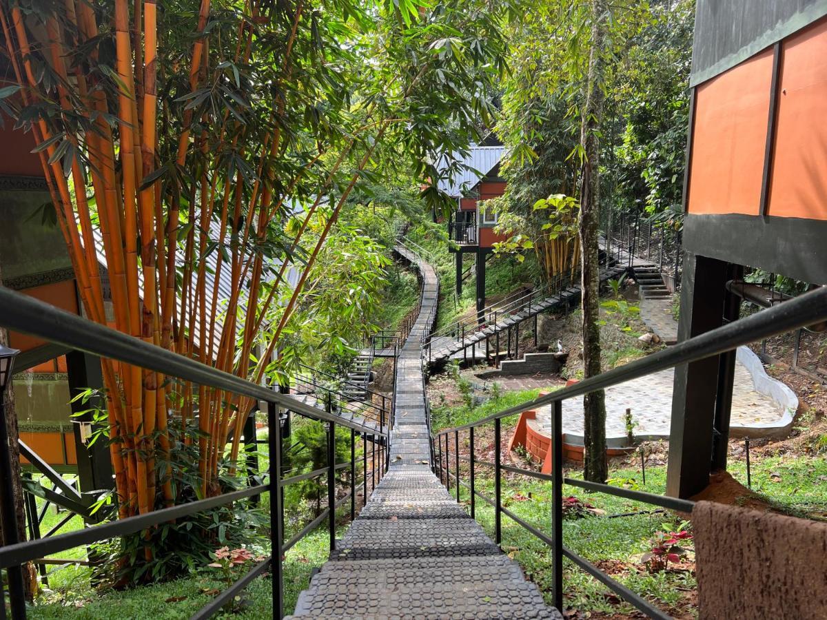 Santhi Hill View 3* Munnar