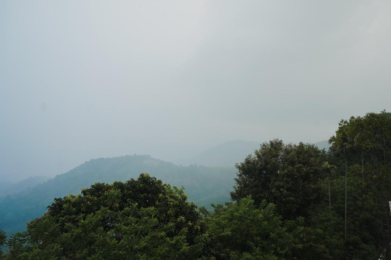 Sprise And 5* Munnar
