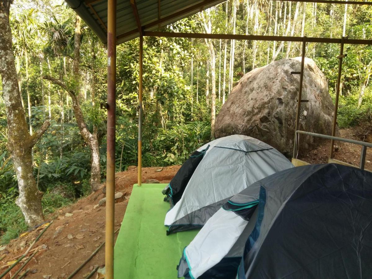 9 Acre Woods - Farm House, Tent & Huts Luxury tent *